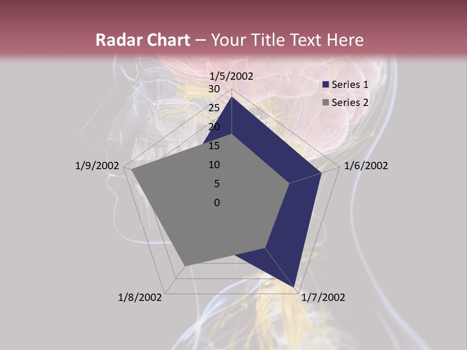 Rebound Head Megrim PowerPoint Template
