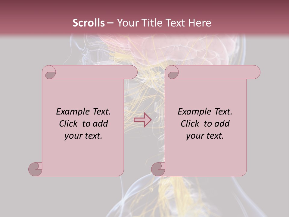 Rebound Head Megrim PowerPoint Template