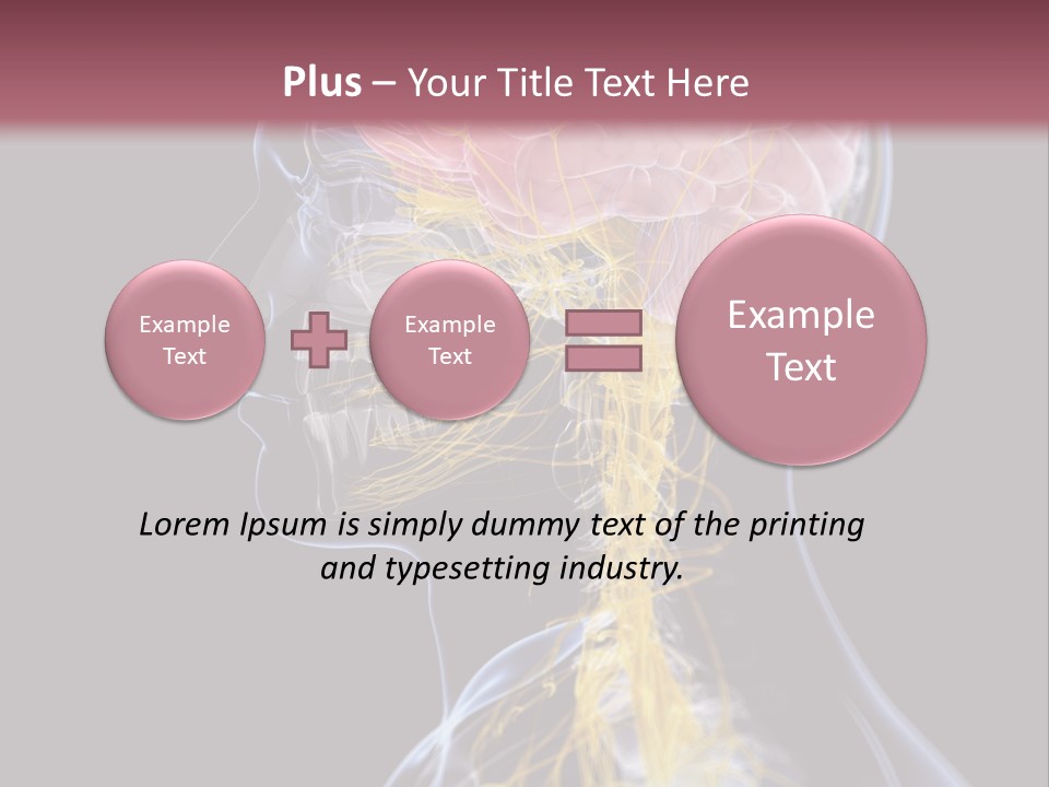 Rebound Head Megrim PowerPoint Template