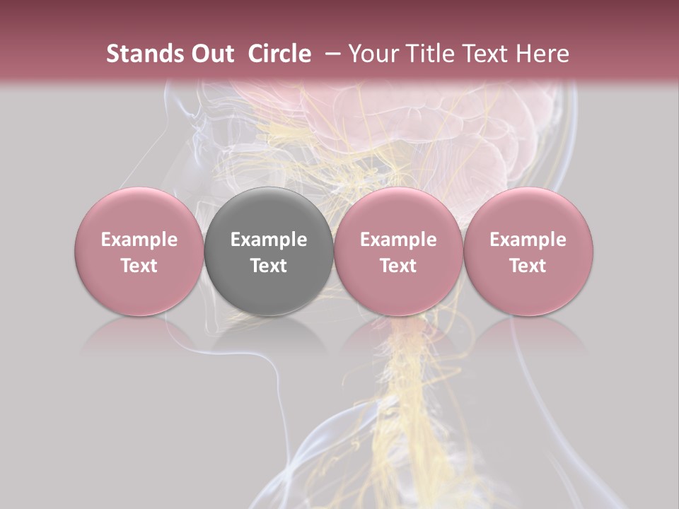 Rebound Head Megrim PowerPoint Template