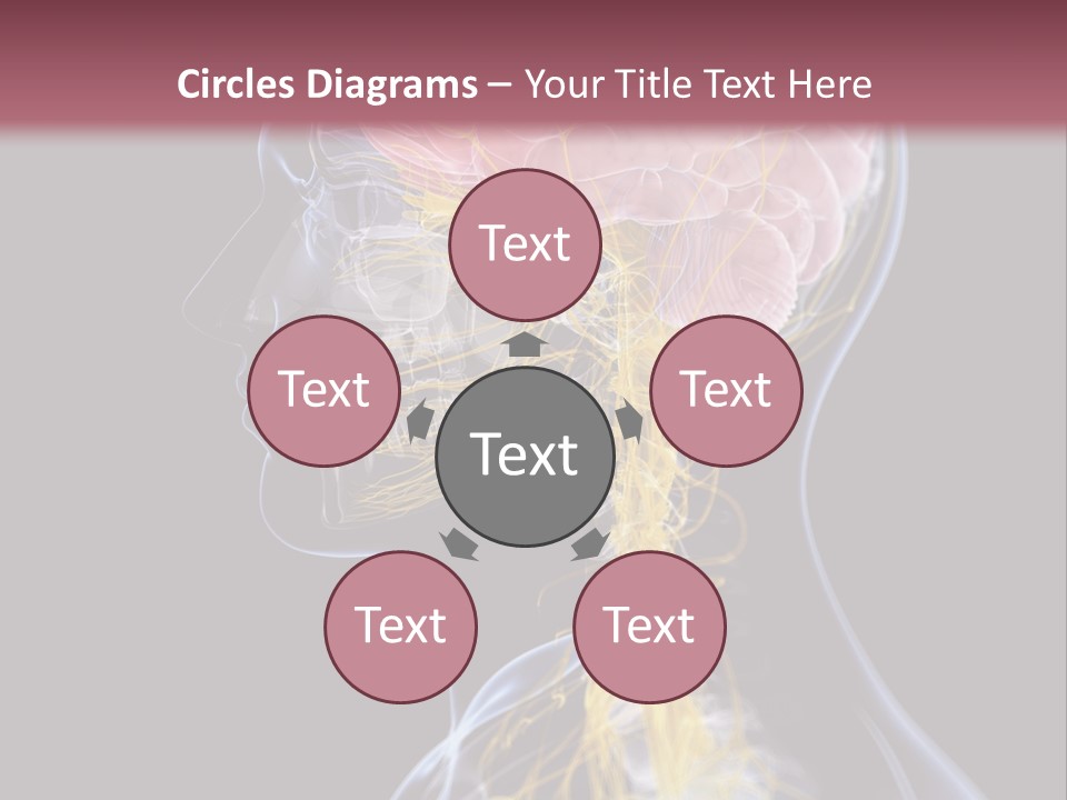 Rebound Head Megrim PowerPoint Template