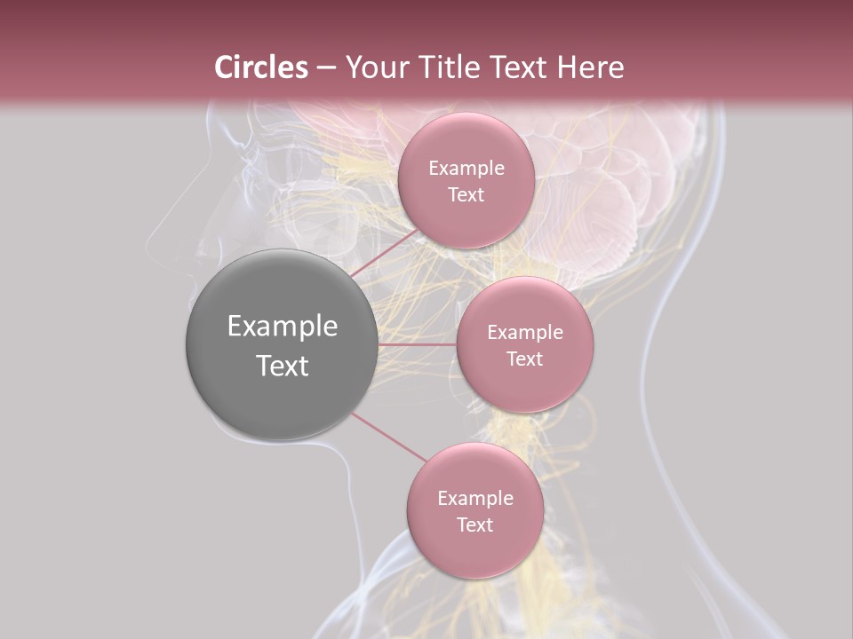 Rebound Head Megrim PowerPoint Template