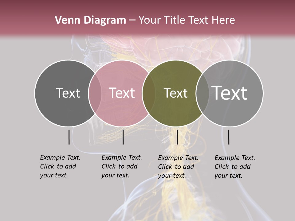 Rebound Head Megrim PowerPoint Template
