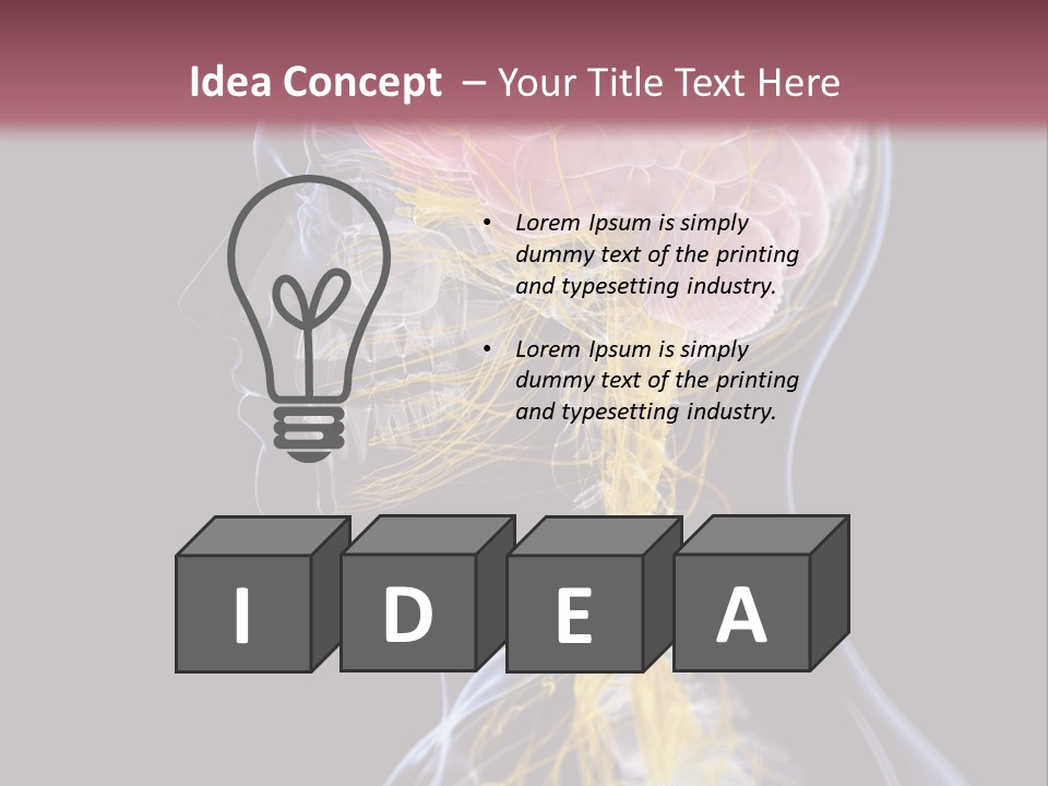 Rebound Head Megrim PowerPoint Template