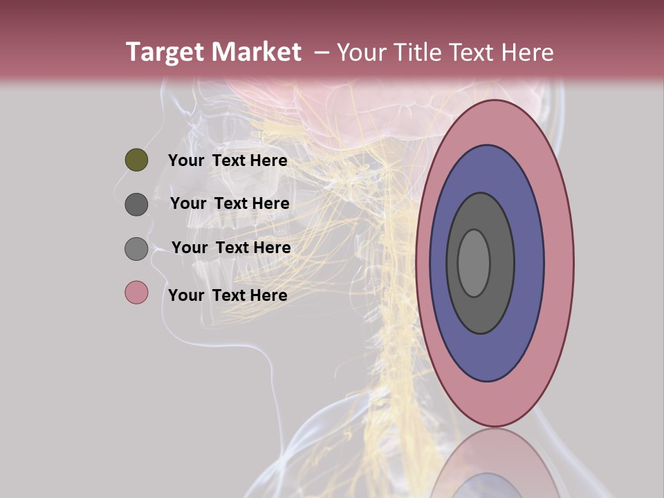 Rebound Head Megrim PowerPoint Template