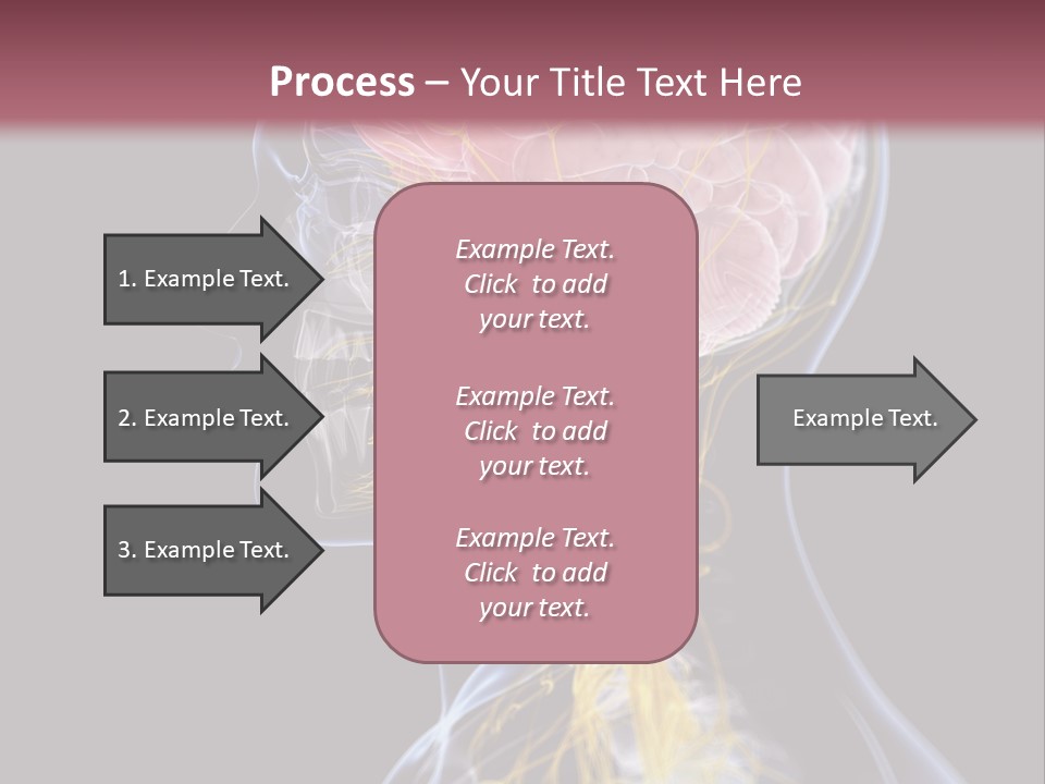 Rebound Head Megrim PowerPoint Template