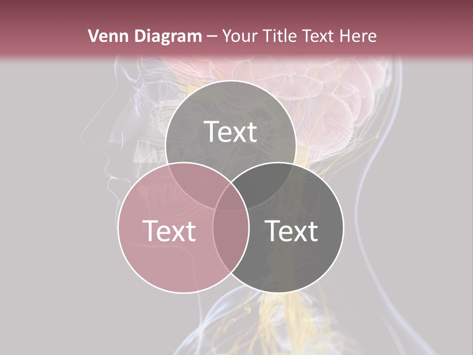 Rebound Head Megrim PowerPoint Template