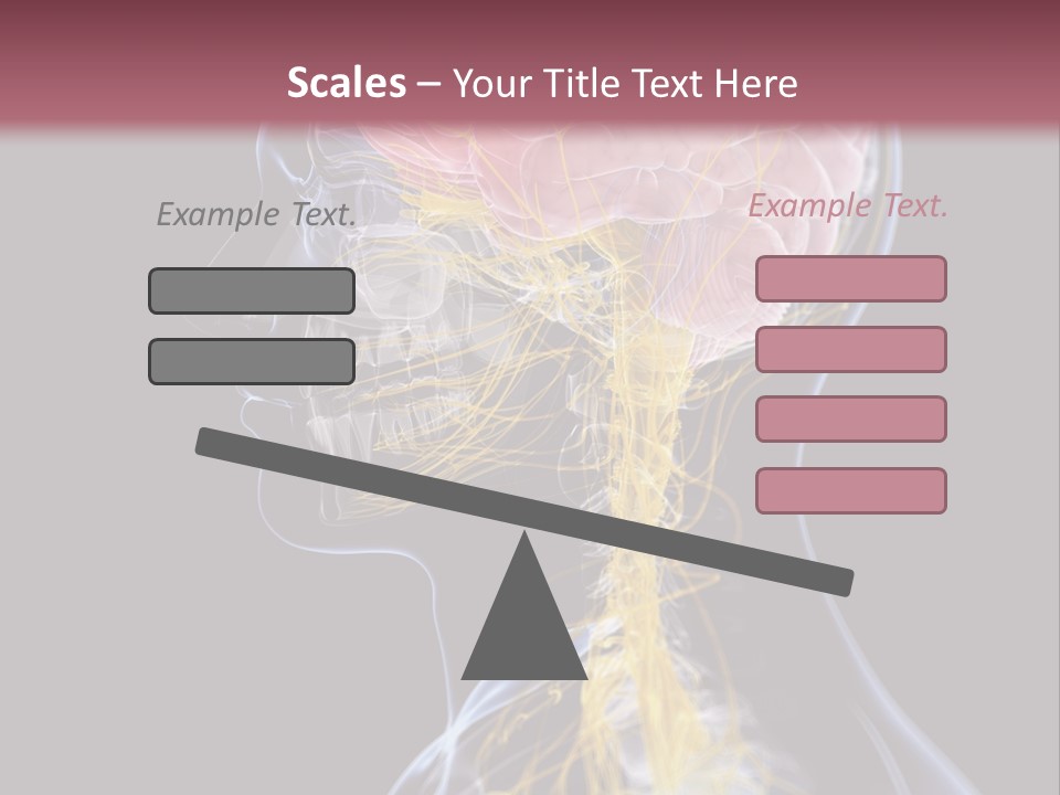 Rebound Head Megrim PowerPoint Template