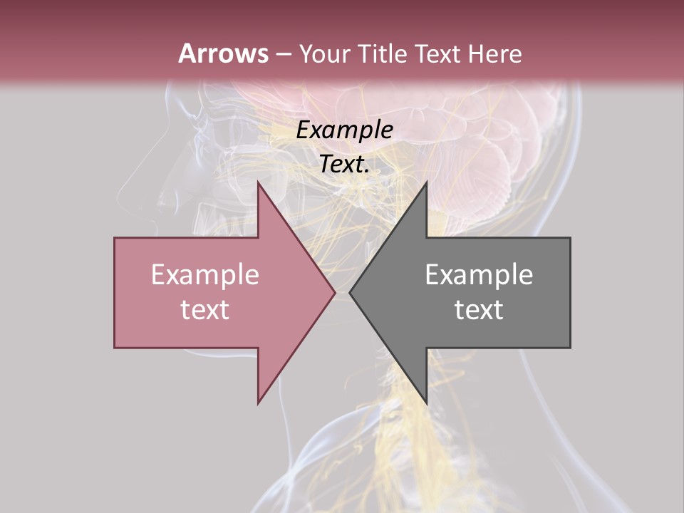 Rebound Head Megrim PowerPoint Template