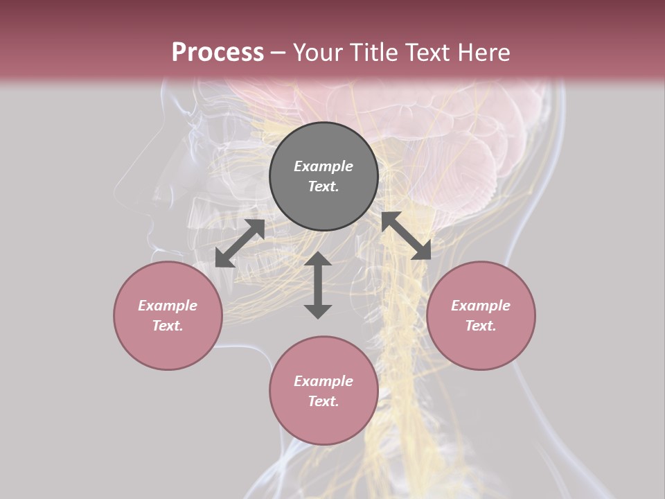 Rebound Head Megrim PowerPoint Template