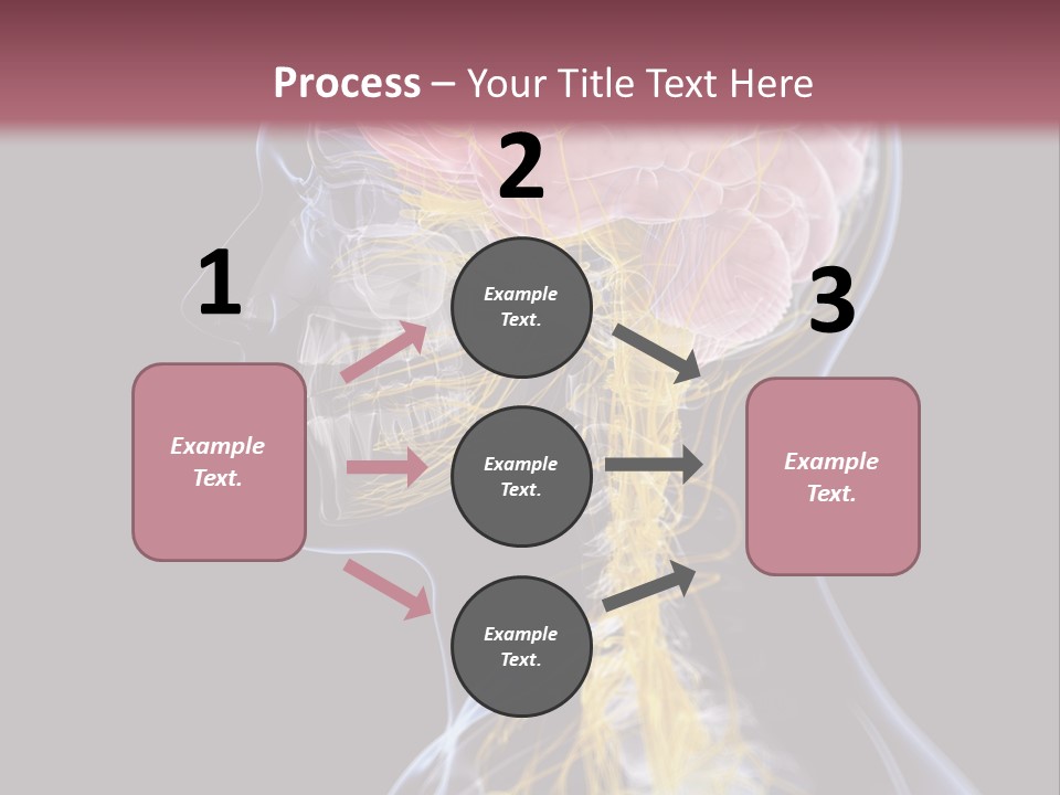 Rebound Head Megrim PowerPoint Template