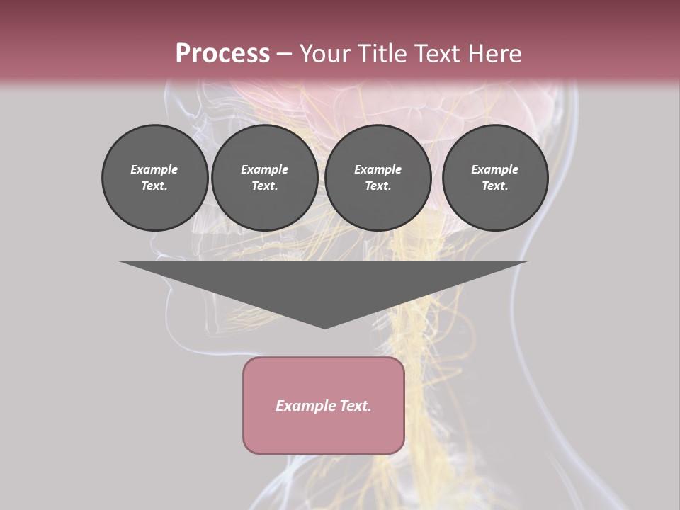 Rebound Head Megrim PowerPoint Template
