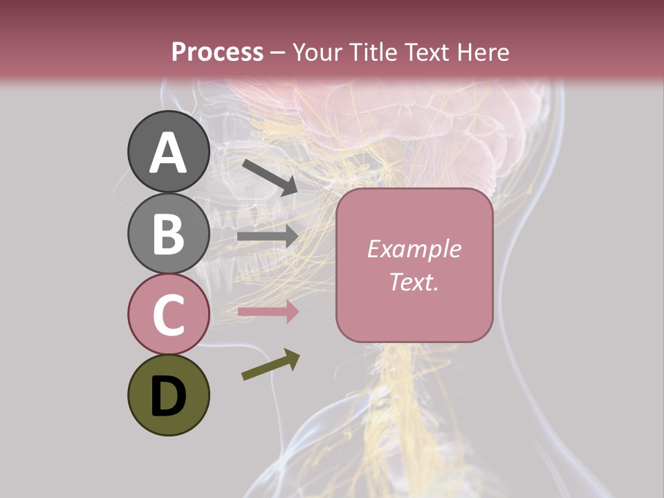 Rebound Head Megrim PowerPoint Template