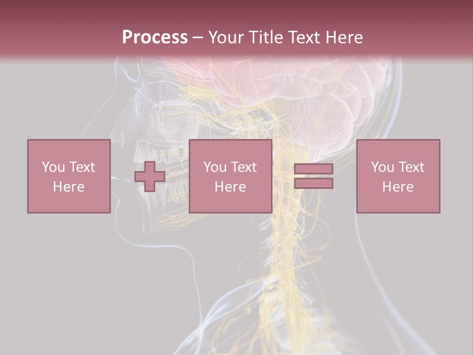 Rebound Head Megrim PowerPoint Template