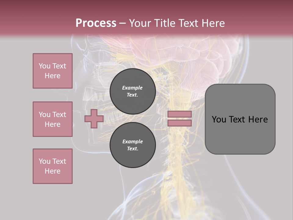 Rebound Head Megrim PowerPoint Template