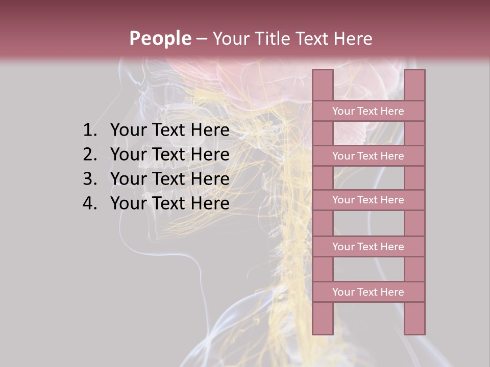 Rebound Head Megrim PowerPoint Template