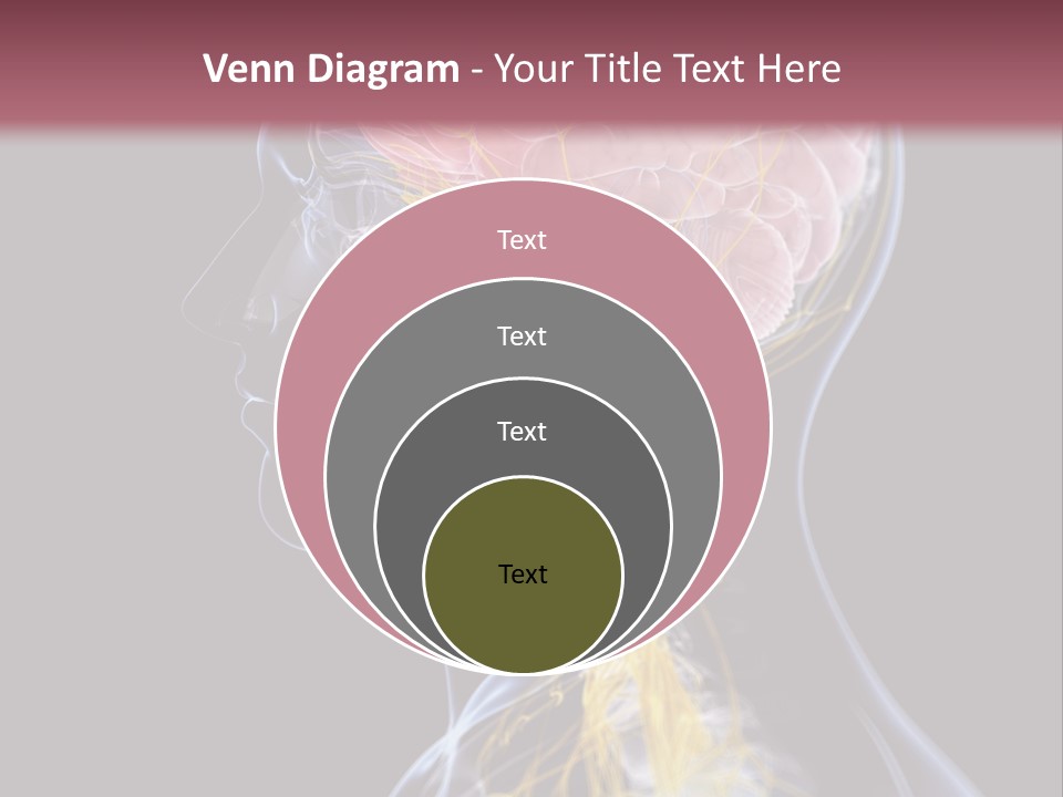 Rebound Head Megrim PowerPoint Template