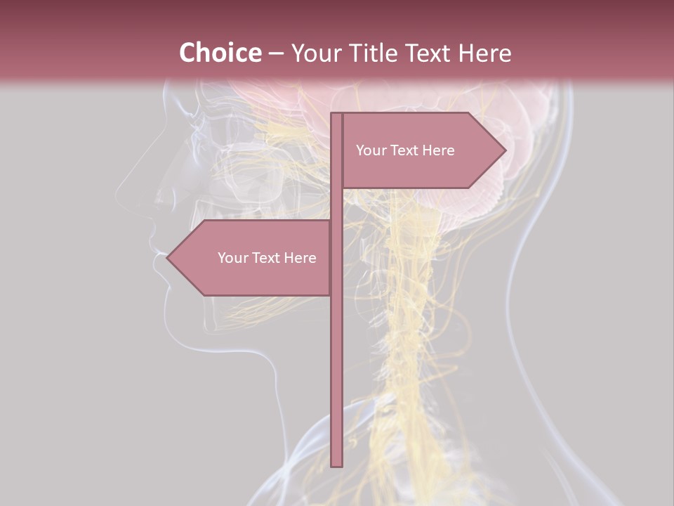 Rebound Head Megrim PowerPoint Template