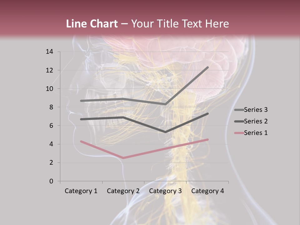 Rebound Head Megrim PowerPoint Template