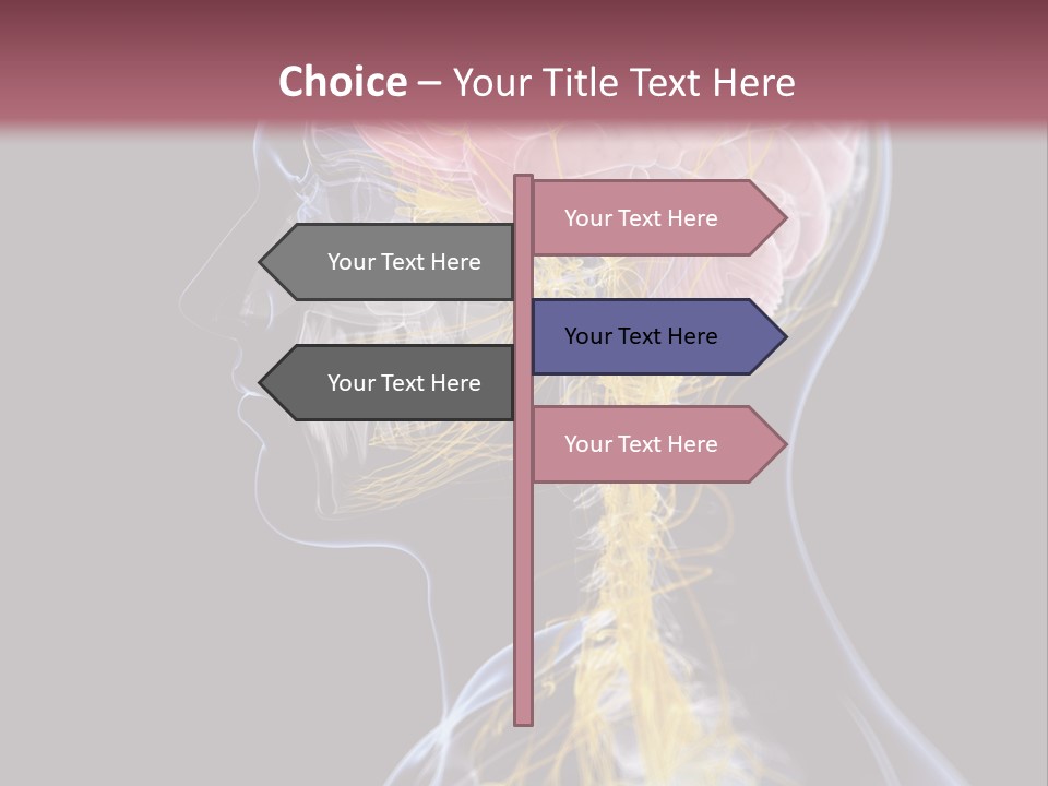 Rebound Head Megrim PowerPoint Template