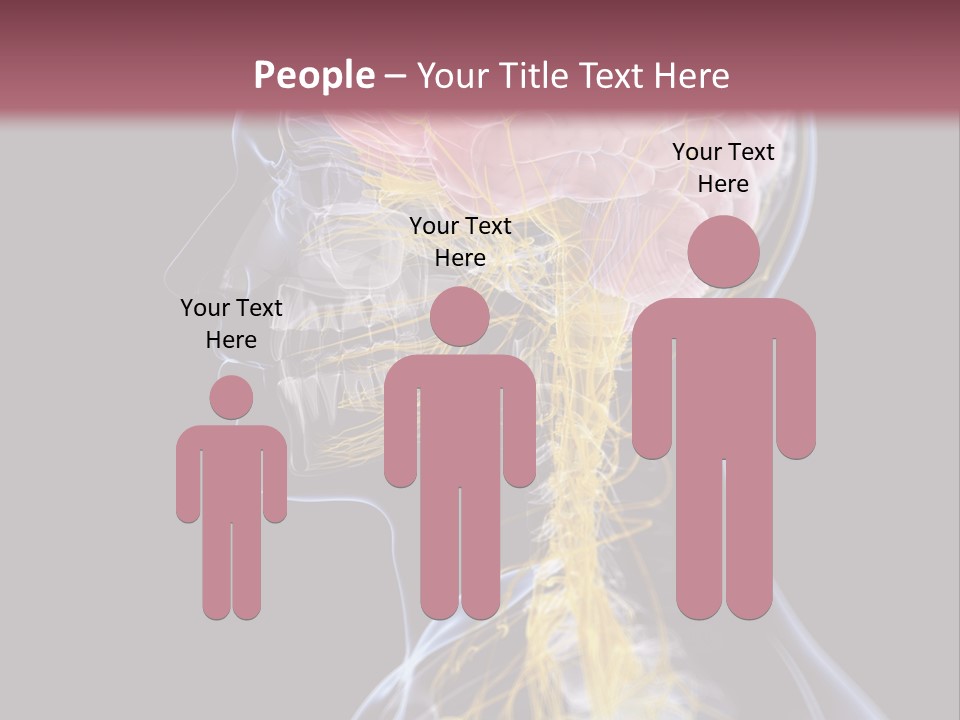 Rebound Head Megrim PowerPoint Template