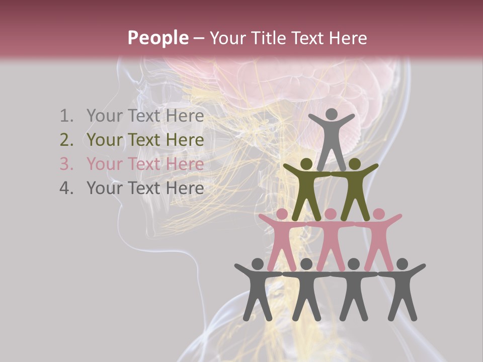 Rebound Head Megrim PowerPoint Template