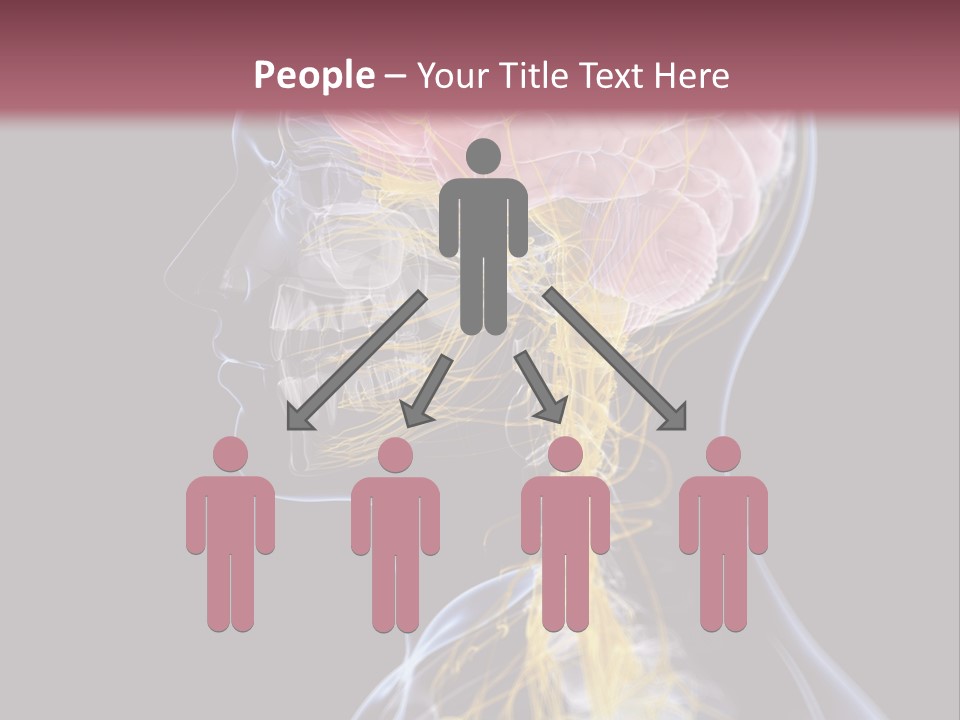 Rebound Head Megrim PowerPoint Template