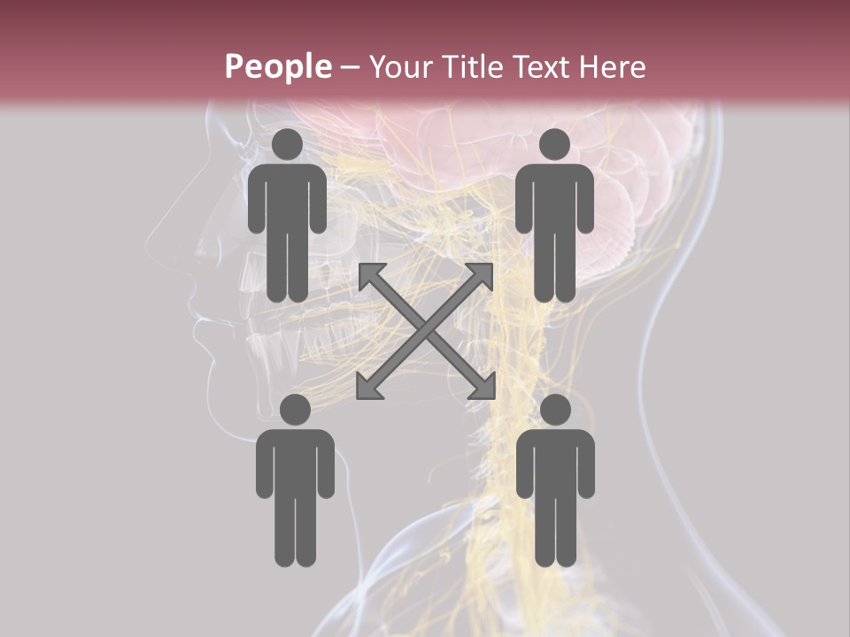 Rebound Head Megrim PowerPoint Template