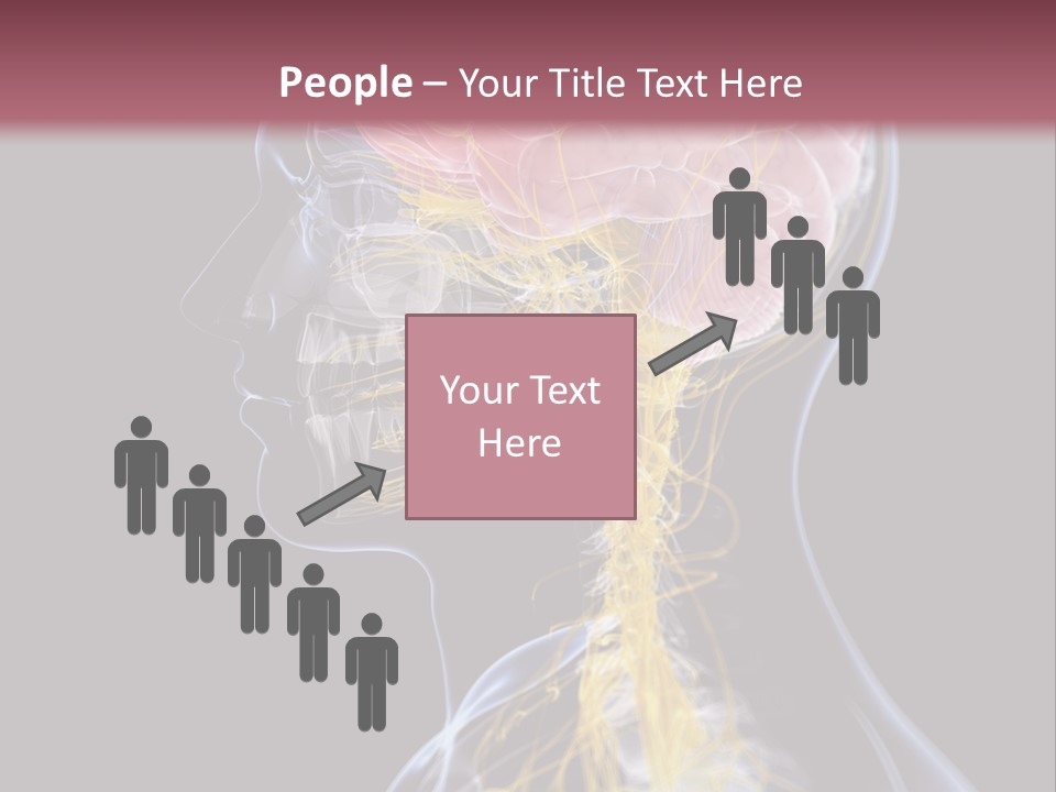 Rebound Head Megrim PowerPoint Template