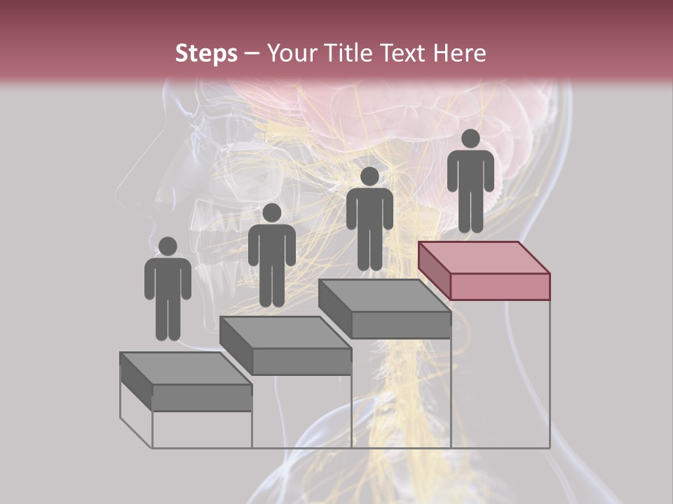 Rebound Head Megrim PowerPoint Template