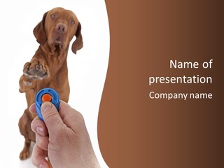 Breed Obedience Canine PowerPoint Template