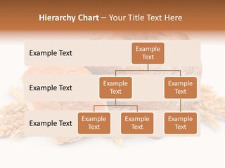 Bowl French Fresh PowerPoint Template