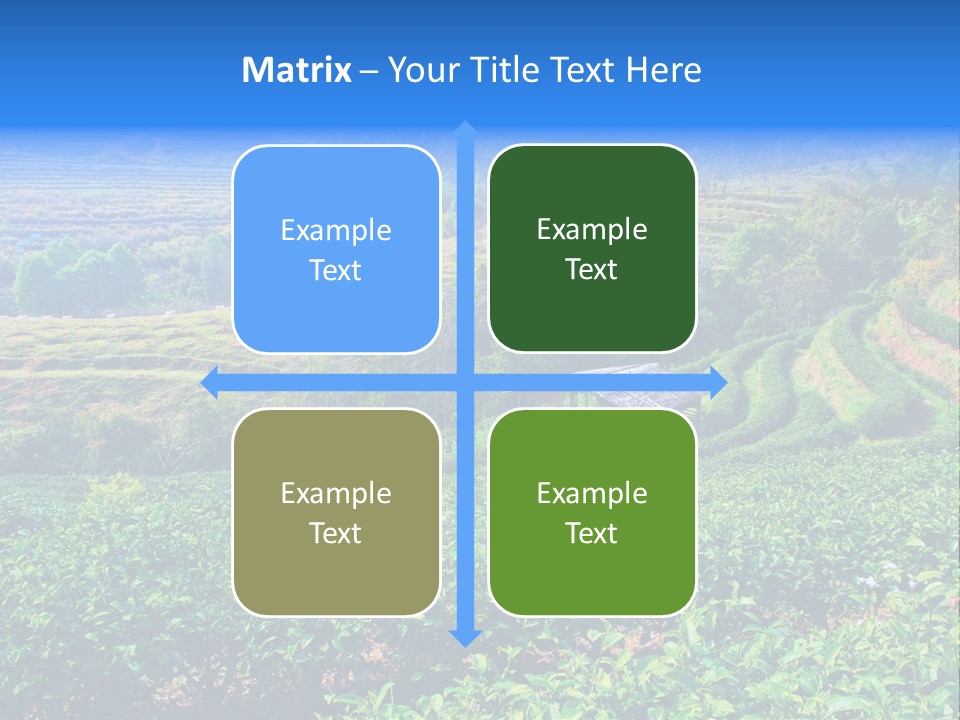 A House In The Middle Of A Green Field PowerPoint Template