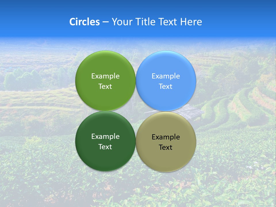 A House In The Middle Of A Green Field PowerPoint Template