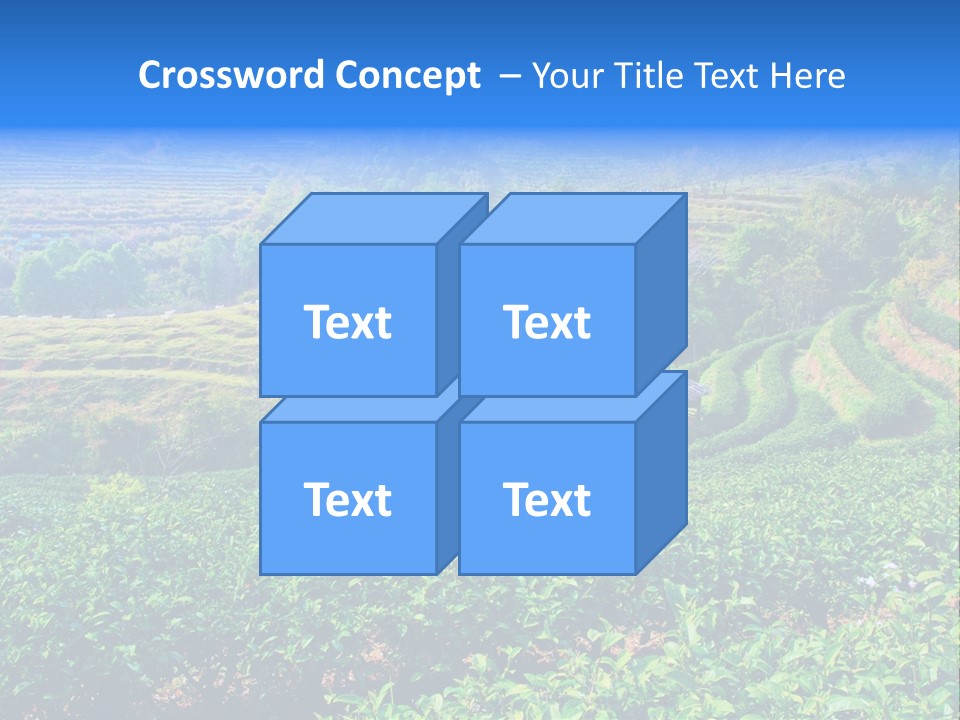 A House In The Middle Of A Green Field PowerPoint Template