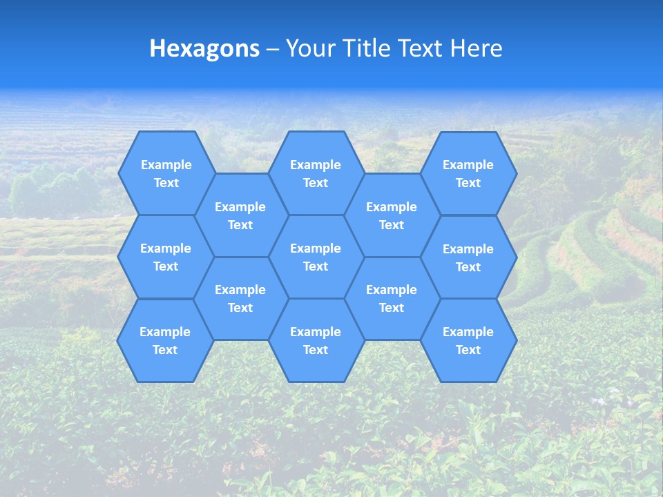 A House In The Middle Of A Green Field PowerPoint Template