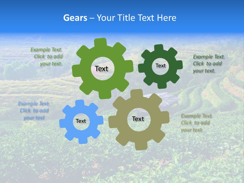A House In The Middle Of A Green Field PowerPoint Template
