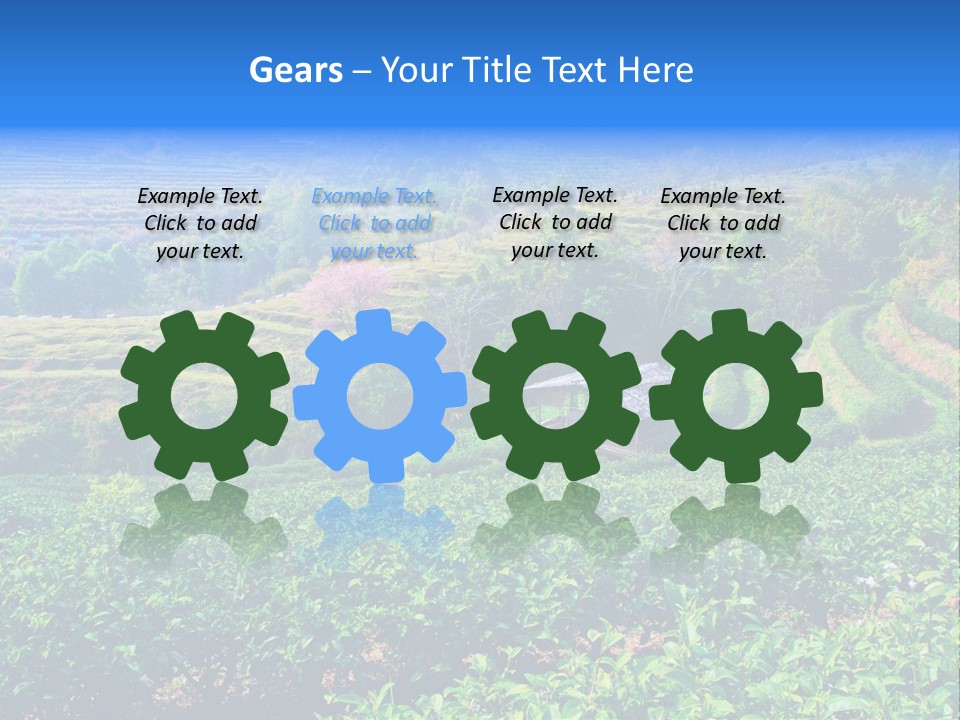 A House In The Middle Of A Green Field PowerPoint Template