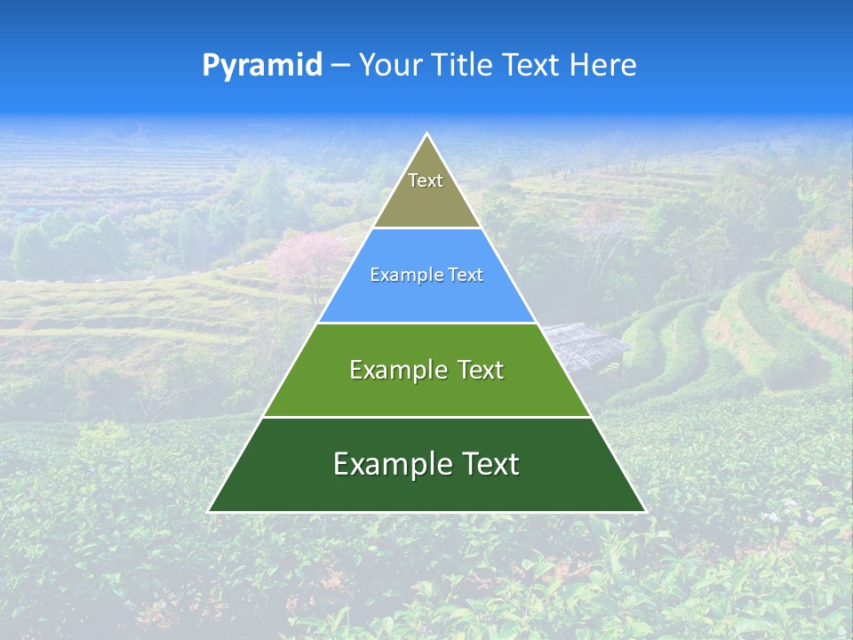 A House In The Middle Of A Green Field PowerPoint Template