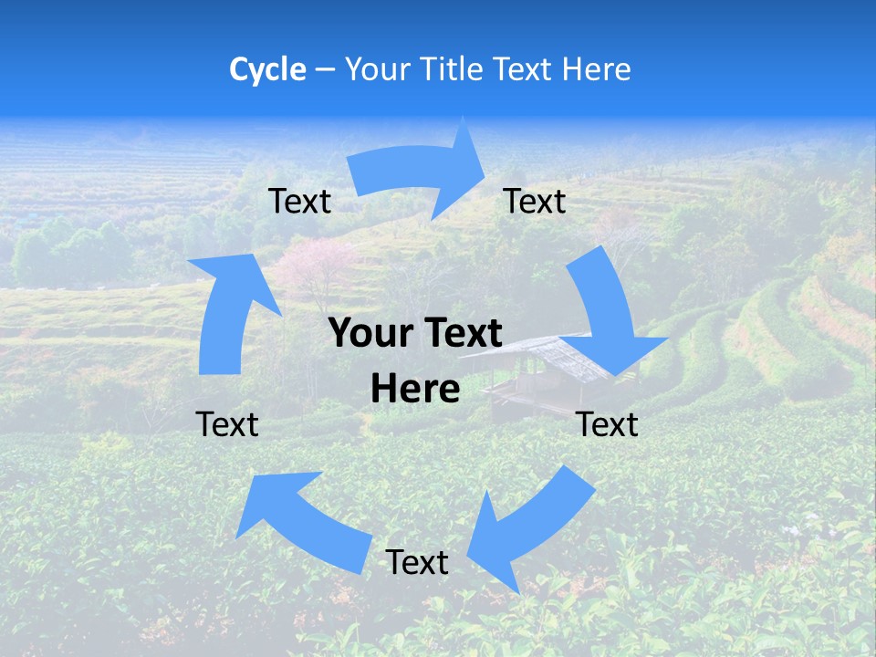 A House In The Middle Of A Green Field PowerPoint Template