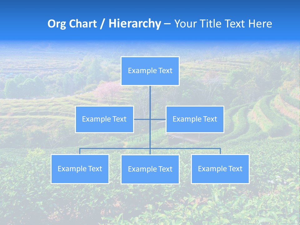 A House In The Middle Of A Green Field PowerPoint Template