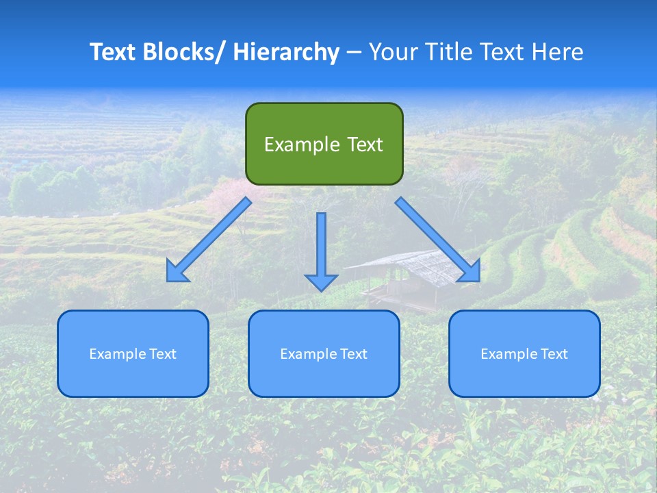 A House In The Middle Of A Green Field PowerPoint Template