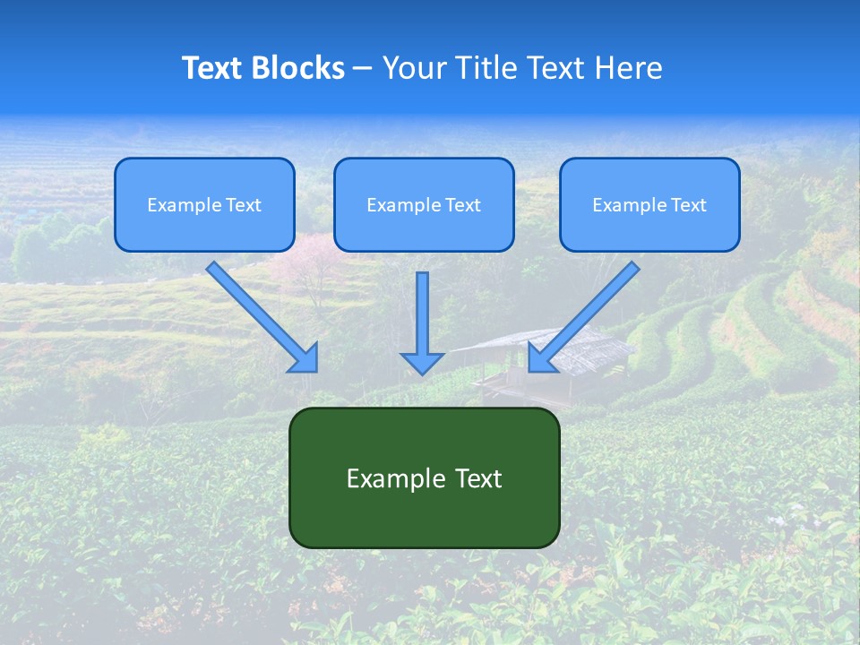 A House In The Middle Of A Green Field PowerPoint Template