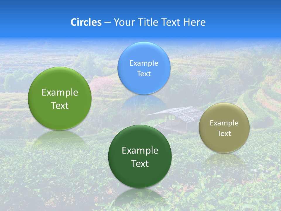 A House In The Middle Of A Green Field PowerPoint Template