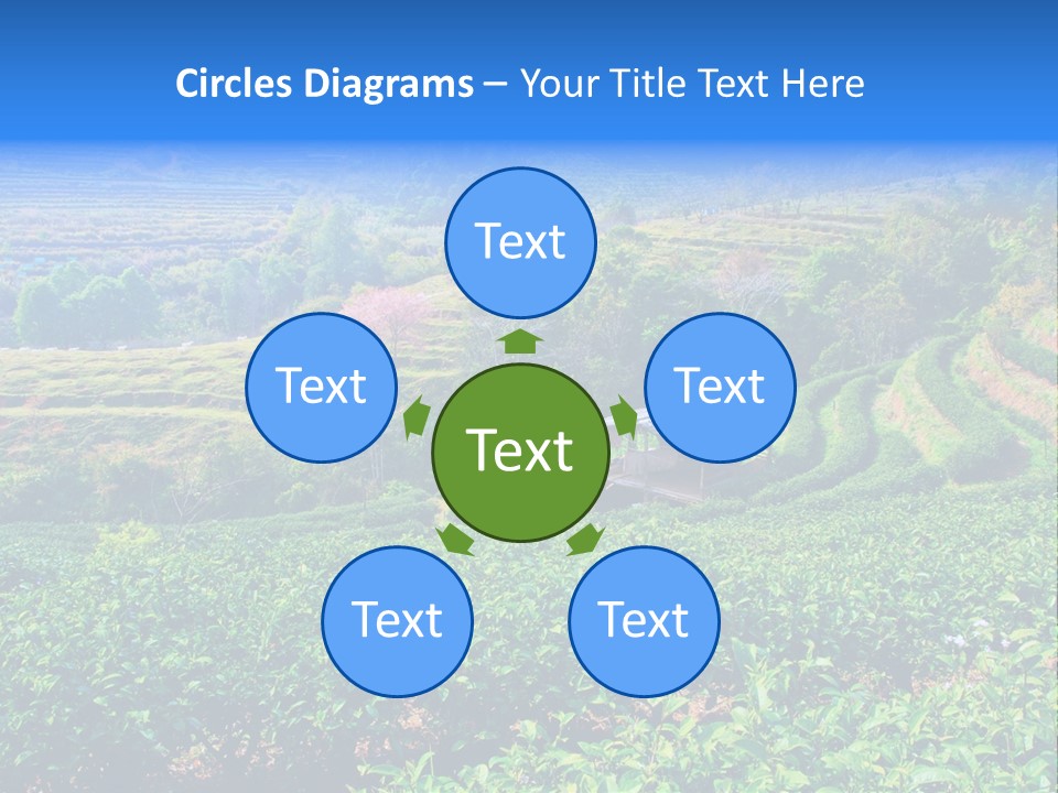 A House In The Middle Of A Green Field PowerPoint Template