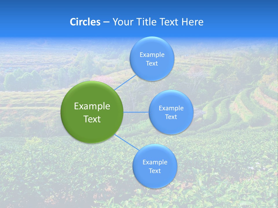 A House In The Middle Of A Green Field PowerPoint Template
