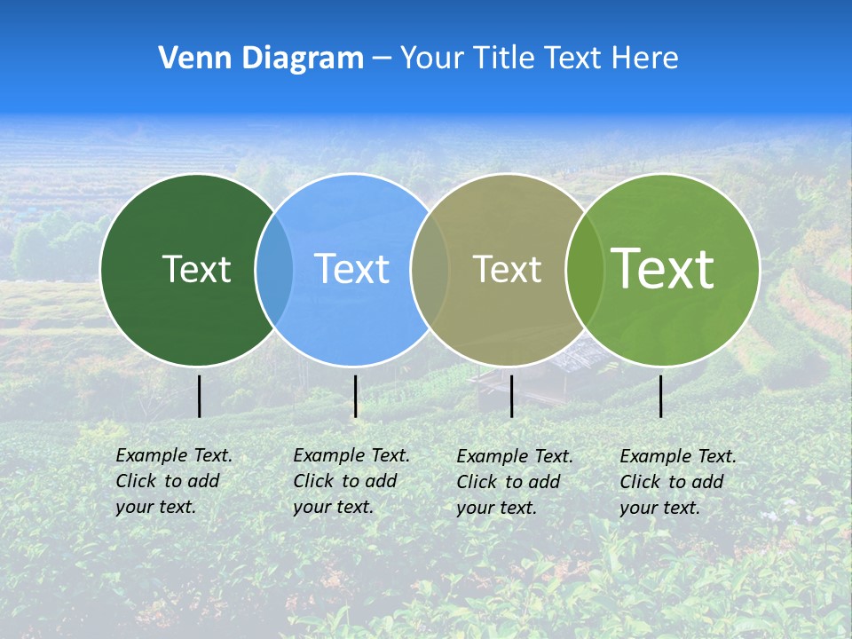 A House In The Middle Of A Green Field PowerPoint Template