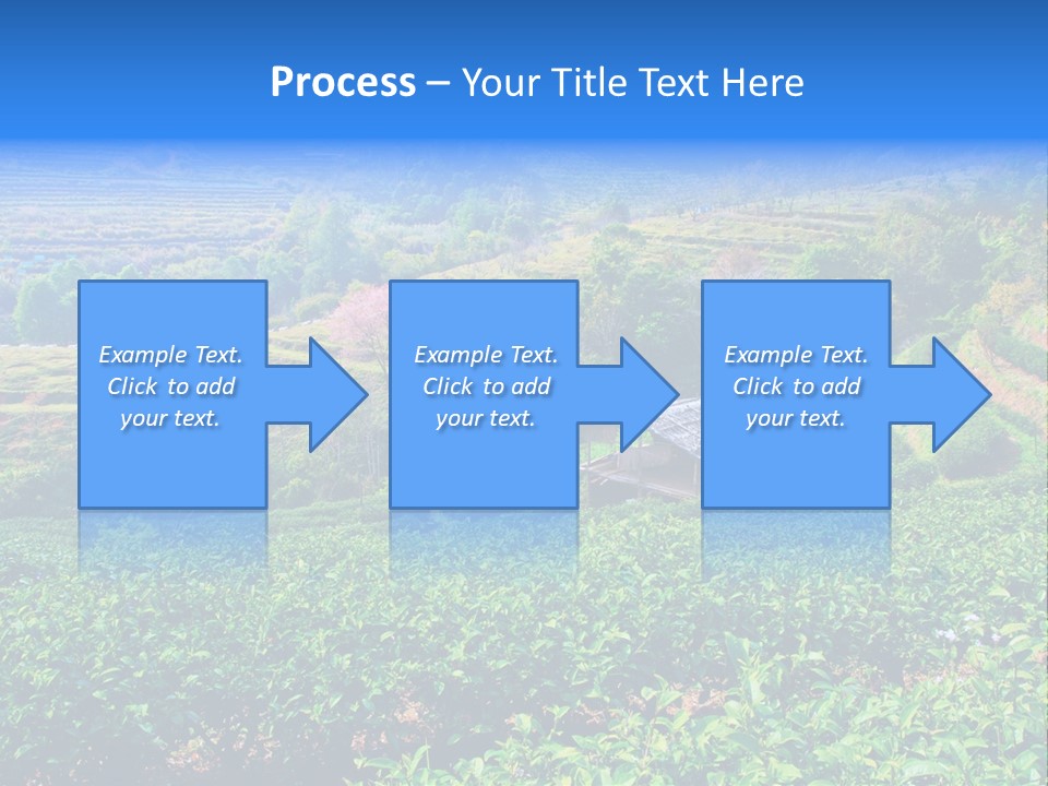 A House In The Middle Of A Green Field PowerPoint Template