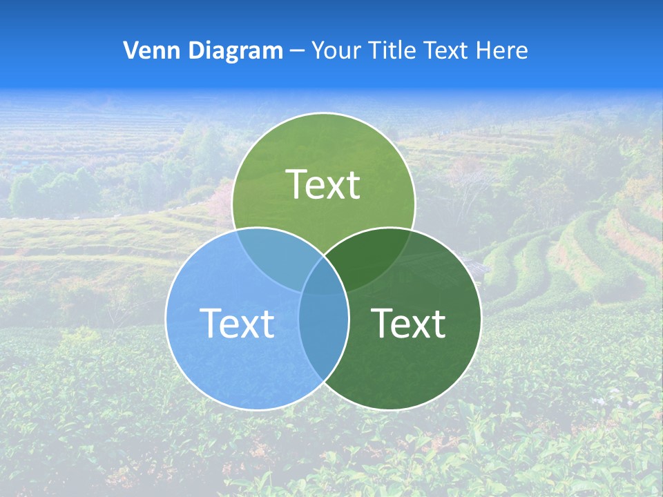 A House In The Middle Of A Green Field PowerPoint Template