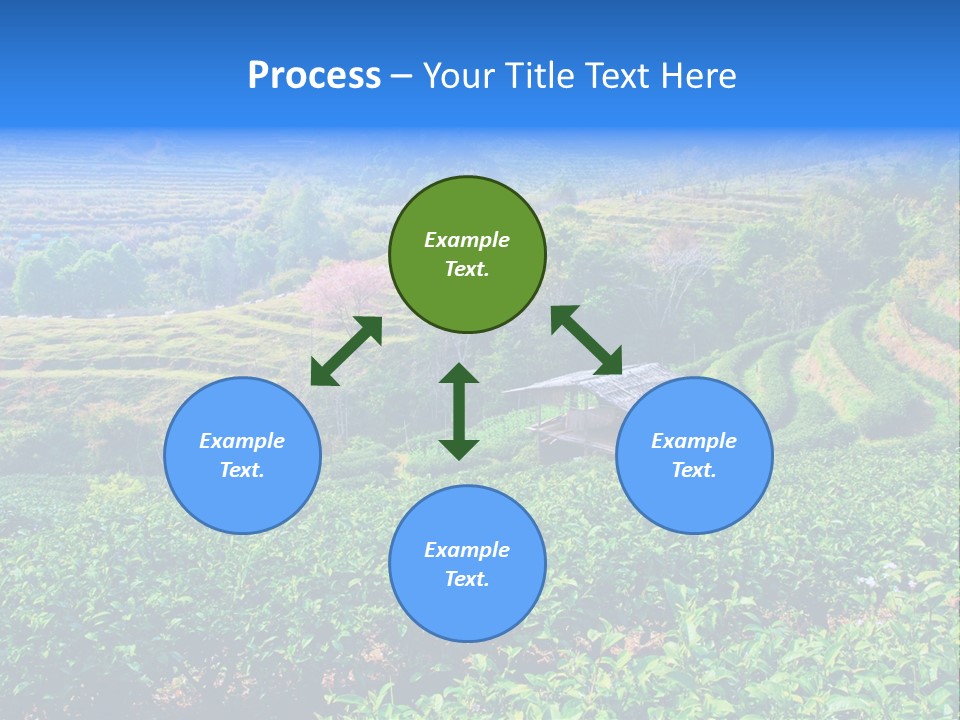 A House In The Middle Of A Green Field PowerPoint Template